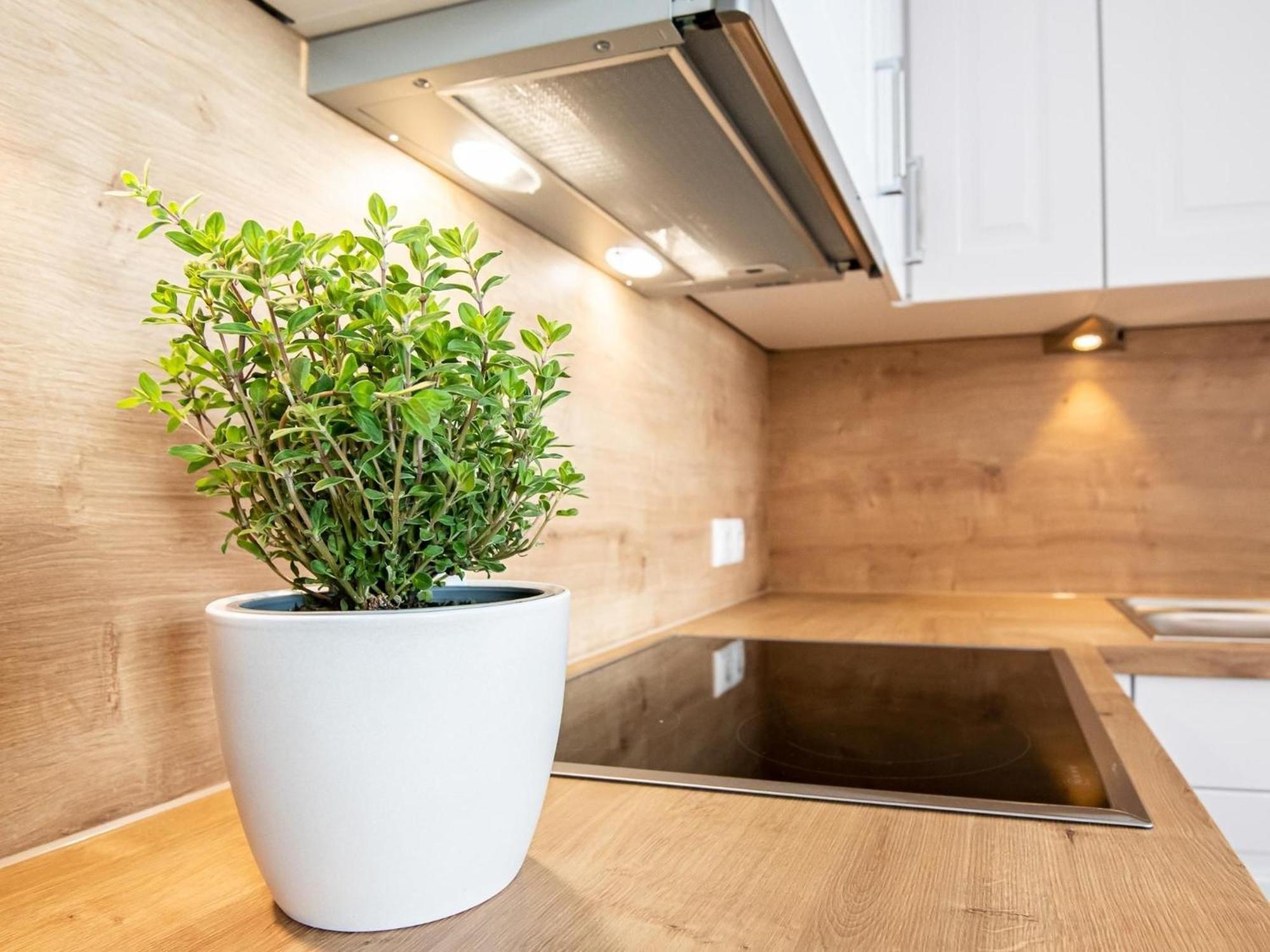 Berolina 804 Penthouse Mit Meerblick Dahme  Kültér fotó